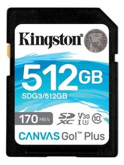 Mälupulk KINGSTON 512GB SDXC Canvas Go Plus 170R цена и информация | Карты памяти | kaup24.ee