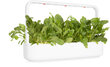 Click & Grow Smart Garden refill Lehtpeet 3tk hind ja info | Nutipotid ja taimelambid | kaup24.ee