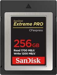 SanDisk CFexpress 256 GB цена и информация | Карты памяти | kaup24.ee