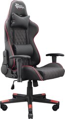 White Shark Gaming Chair Racer-Two цена и информация | White Shark Мебель и домашний интерьер | kaup24.ee