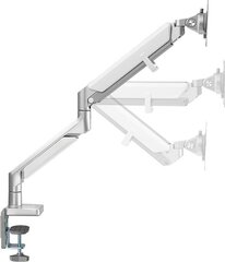 Logilink BP0086 Desk Mount, 17-32 , Max hind ja info | Monitori hoidjad | kaup24.ee