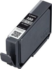 CANON PFI-300 GY EUR/OCN grey цена и информация | Картриджи для струйных принтеров | kaup24.ee