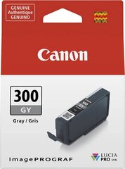 CANON PFI-300 GY EUR/OCN grey цена и информация | Картриджи для струйных принтеров | kaup24.ee