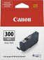 CANON PFI-300 GY EUR/OCN grey hind ja info | Tindiprinteri kassetid | kaup24.ee