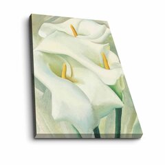 Репродукция на холсте Лилии цена и информация | Картины, живопись | kaup24.ee