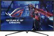 43" 4K UHD LED mänguri monitor ASUS ROG Strix XG43UQ 90LM0590-B02170 hind ja info | Monitorid | kaup24.ee