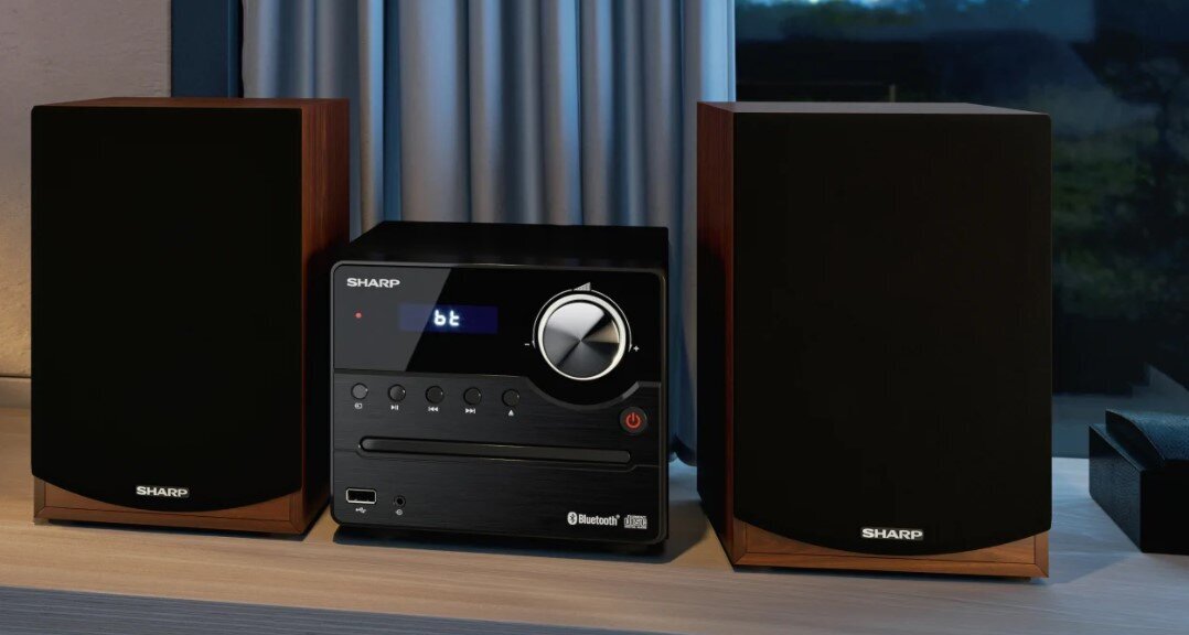 Kodune audio mikrosüsteem Sharp XL-B512(BR) hind ja info | Muusikakeskused | kaup24.ee