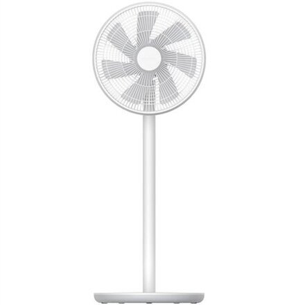 Seisuventilaator Xiaomi BHR4828GL цена и информация | Ventilaatorid | kaup24.ee