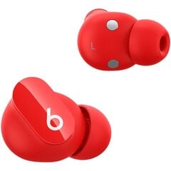 Beats by Dr. Dre MJ503ZM/A цена и информация | Наушники | kaup24.ee