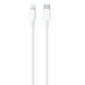 DCO USB-C Lightning Andmed ja Laadimiskaabli Apple iPhone 12 Mini Pro Max 1m Valge A2249 (MXOK2ZM/A) (OEM) hind ja info | Mobiiltelefonide kaablid | kaup24.ee