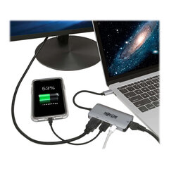 Tripp Lite USB-C Dock U444-06N-H4GUSC Single Display цена и информация | Адаптеры и USB-hub | kaup24.ee