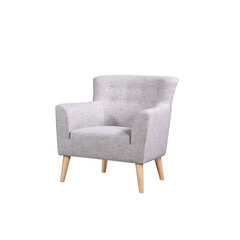 Кресло Guyana, светло-серый/светлый цена и информация | Кресла в гостиную | kaup24.ee