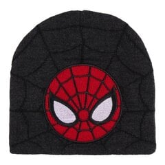 Детская шапка Spiderman, серый цена и информация | Шапки, перчатки, шарфы для мальчиков | kaup24.ee