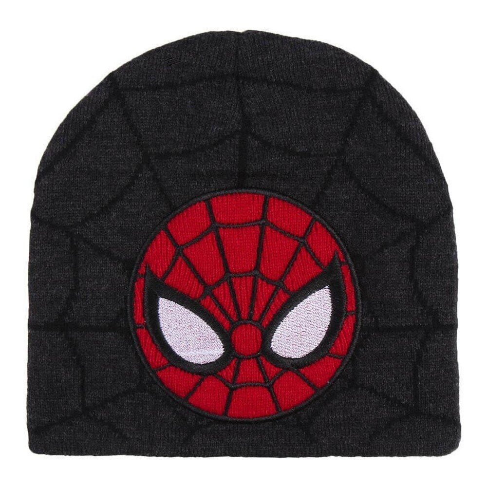 Laste müts Spiderman, hall цена и информация | Poiste mütsid, sallid, kindad | kaup24.ee