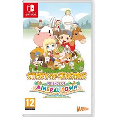 Switch mäng Story of Seasons: Friends of Mineral Town, 5060540770554 hind ja info | Arvutimängud, konsoolimängud | kaup24.ee