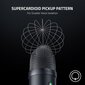 Juhtmega lauapealne mikrofon Razer Seiren V2 X : RZ19-04050100-R3M1 цена и информация | Mikrofonid | kaup24.ee