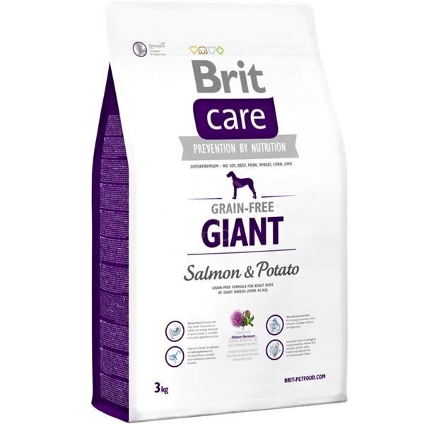 Brit Care Giant Salmon & Potato koeratoit 3 kg цена и информация | Kuivtoit koertele | kaup24.ee