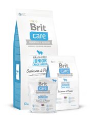 Brit Care Junior Large Breed Salmon & Potato koeratoit 12 kg hind ja info | Kuivtoit koertele | kaup24.ee