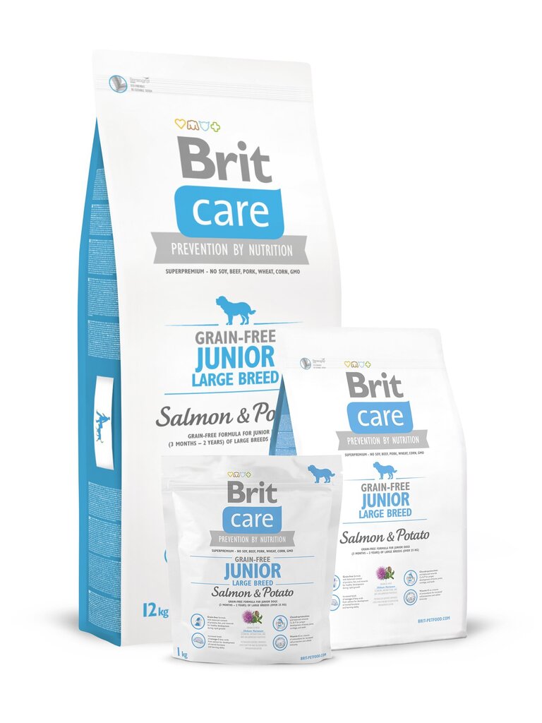 Brit Care Junior Large Breed Salmon & Potato koeratoit 12 kg цена и информация | Kuivtoit koertele | kaup24.ee