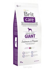 Kuivtoit koertele Brit Care Adult väga suurt tõugu koertele, lõhe ja kartuliga, ilma teraviljata, 12 kg hind ja info | Kuivtoit koertele | kaup24.ee