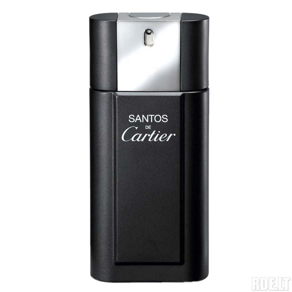 Cartier Santos de Cartier EDT meestele 100 ml цена и информация | Meeste parfüümid | kaup24.ee