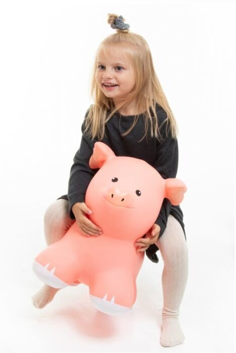 Hüppeloom Jumpy Notsu, roosa hind ja info | Tüdrukute mänguasjad | kaup24.ee