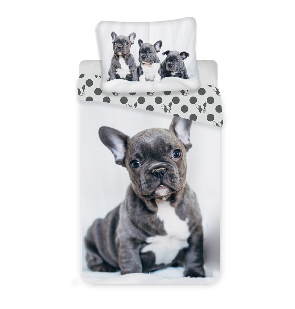Jerry Fabrics voodipesukomplekt Bulldog, 140x200, 2tk цена и информация | Voodipesukomplektid | kaup24.ee