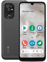 Doro 8110 4G 2/32GB Grey цена и информация | Мобильные телефоны | kaup24.ee