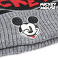 Müts ja kindad Mickey Mouse 74317 Must hind ja info | Poiste mütsid, sallid, kindad | kaup24.ee