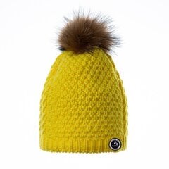 Huppa зимняя шапка ASH, желтый  цена и информация | Аксессуары для детей | kaup24.ee