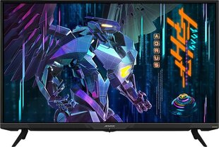 Gigabyte AORUS FV43U, 43" цена и информация | Мониторы | kaup24.ee