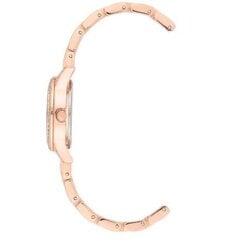 Часы Juicy Couture JC/1144MTRG цена и информация | Женские часы | kaup24.ee