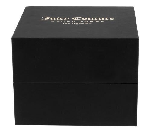 Käekell Juicy Couture JC/1144MTRG цена и информация | Naiste käekellad | kaup24.ee