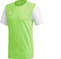 Мужская футболка Adidas Estro 19 DP3240, зеленая