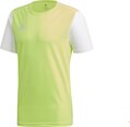 Мужская футболка Adidas Estro 19 DP3235, зеленая