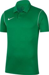 T-särk meestele Nike Dri Fit Park 20 BV6879 302, roheline hind ja info | Meeste T-särgid | kaup24.ee