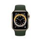 Nutikell Apple Watch Series 6 (40mm) GPS + LTE : Gold/Cyprus Green hind ja info | Nutikellad (smartwatch) | kaup24.ee