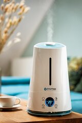 Oromed air humidifier ORO-2022 цена и информация | Увлажнители воздуха | kaup24.ee