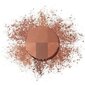 Päikesepuuder Bourjois Always Fabulous Bronzing 002 Dark, 9g цена и информация | Päikesepuudrid, põsepunad | kaup24.ee