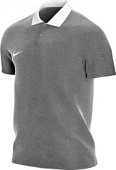Nike мужская футболка Park 20 CW6933 071, серая цена и информация | Мужские футболки | kaup24.ee