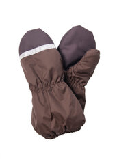 Теплые зимние перчатки Lenne цена и информация | Зимняя одежда для детей | kaup24.ee