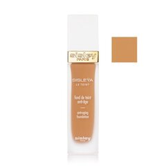 Jumestuskreem Sisley Le Teint Anti Aiging Foundation 4B Chestnut, 30 ml цена и информация | Пудры, базы под макияж | kaup24.ee