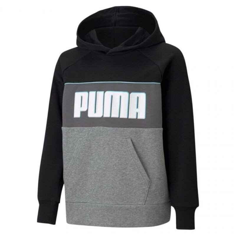 Puma Džemprid Alpha Hoody TR Grey Black цена и информация | Poiste kampsunid, vestid ja jakid | kaup24.ee