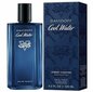 Meeste parfüüm Davidoff Davidoff Cool Water Man Champion Edition Streetfighter (125 ml) hind ja info | Meeste parfüümid | kaup24.ee