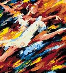 Maalid numbrite järgi "Ballerina grace" 40x50 G hind ja info | Maalid numbri järgi | kaup24.ee