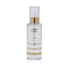 Isepruunistav näosprei H20 Tan Mist Face, 100ml hind ja info | Isepruunistavad kreemid | kaup24.ee