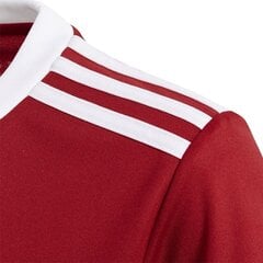 Spordisärk adidas Squadra 17 Jr BJ9196, 53981 цена и информация | Рубашки для мальчиков | kaup24.ee