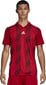T-särk meestele Adidas Striped 19 JSYDP3199, punane цена и информация | Meeste T-särgid | kaup24.ee