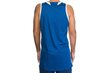 T-särk meestele Adidas E Kit JSY 3.0 AI4668, sinine цена и информация | Meeste T-särgid | kaup24.ee