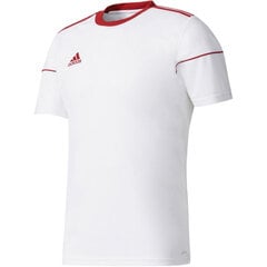 Meeste T-särk Adidas Squadra 17 M BJ9181, valge цена и информация | Мужские футболки | kaup24.ee